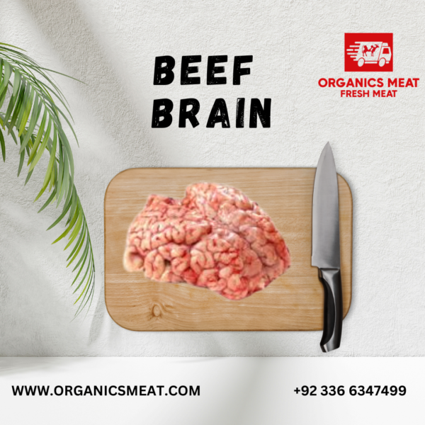 Beef Brain (Maghaz)
